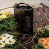 images/SS/Evento Bellaria-18.jpg